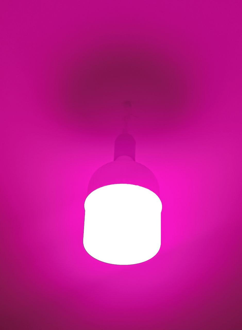 لامپ رشد گیاه 50 وات پرتونور ( فول اسپکتروم )